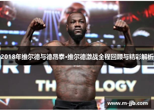 2018年维尔德与德昂泰·维尔德激战全程回顾与精彩解析