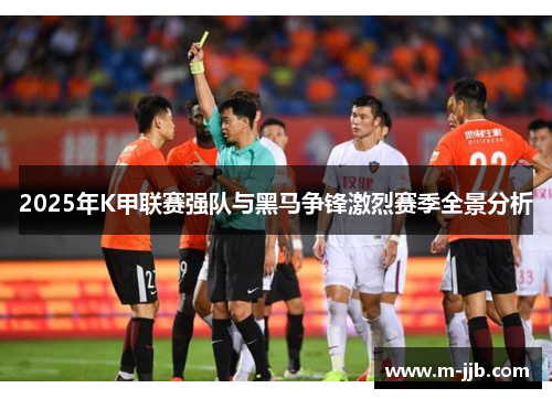2025年K甲联赛强队与黑马争锋激烈赛季全景分析