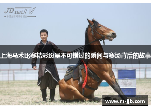 上海马术比赛精彩纷呈不可错过的瞬间与赛场背后的故事