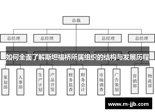 如何全面了解斯坦福桥所属组织的结构与发展历程