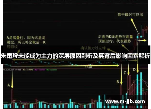 朱雨玲未能成为主力的深层原因剖析及其背后影响因素解析