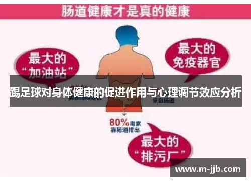 踢足球对身体健康的促进作用与心理调节效应分析